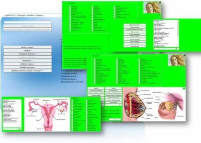 condiciones-femeninas-y-fertilidad