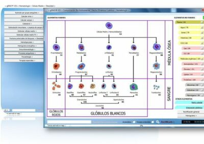 hematologia