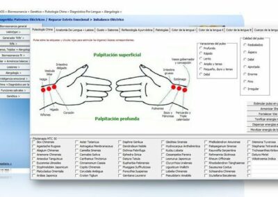 pulsologia-china