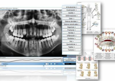 radiologia